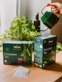 Herbata czarna ekspresowa - Dilmah Premium Tea [100x2g] - Klasyczna czarna herbata cejlońska.    100 torebek ekspresowych 2g bez zawieszki 3