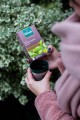 Herbaty zielone aromatyzowane - Dilmah Green Tea with Earl Grey [20x1,5g] - Zielona herbata z aromatem bergamotki - 20 torebek ekspresowych 1,5g z zawieszką 2