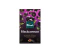 10197_Dilmah Blackcurrant [20x1,5g]_front_pion.jpg