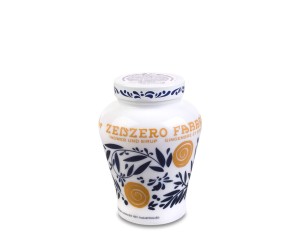 Fabbri Zenzero [600g]