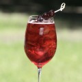 Owoce w Syropie Fabbri Amarena [1000g] Drylowane wiśnie w syropie do użytku barmańskiego (garnish) 2
