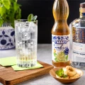 Syropy - Fabbri Fiori di Sambuco [560ml] - Syrop o smaku kwiatów czarnego bzu - 560ml - 6