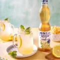 Syropy - Fabbri Fiori di Sambuco [560ml] - Syrop o smaku kwiatów czarnego bzu - 560ml - 8