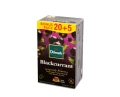 Herbata czarna aromatyzowana w porcjach -25 torebek ekspresowych 1,5g z zawieszką - 2