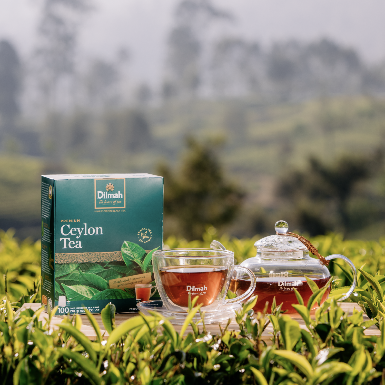 Drewniana taca na lankijskim polu herbaty. Na tacy cejlońska herbata Dilmah – opakowanie Dilmah Premium Ceylon Tea, szklany dzbanek i filiżanka wypełnione naparem.