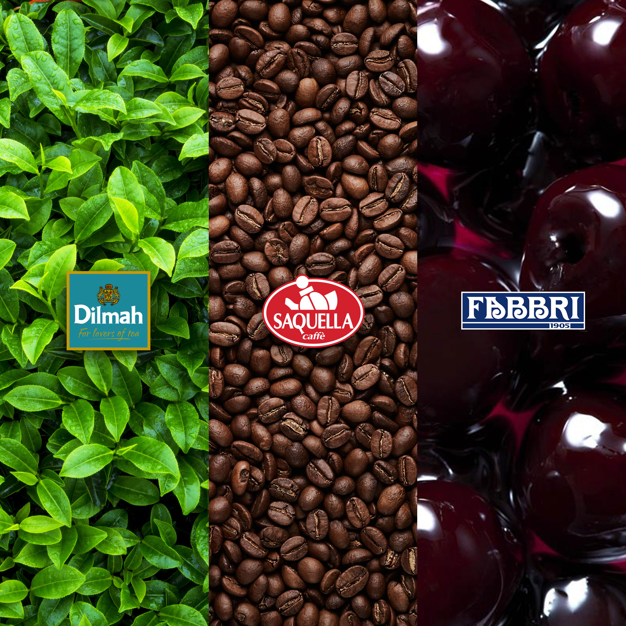 Witaj w sklepie z produktami marek Dilmah, Saquella i Fabbri